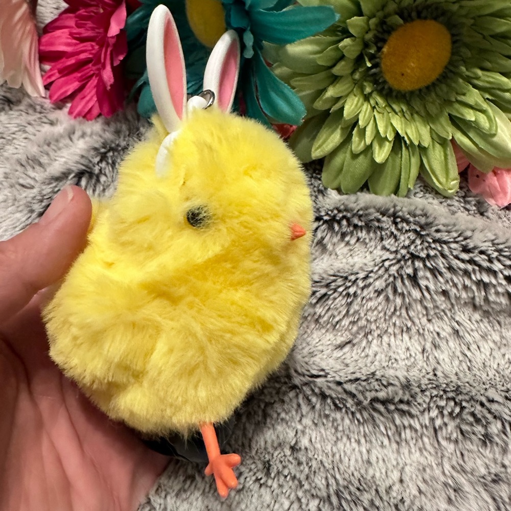 Baby chick pocketbac holder, it is adorable!  The chick has bunny ears!